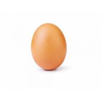 Яйце 1 бр